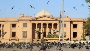 sindh high court