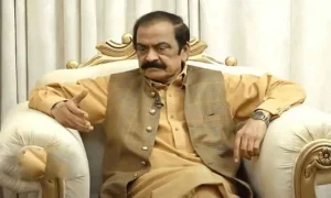 Rana sana